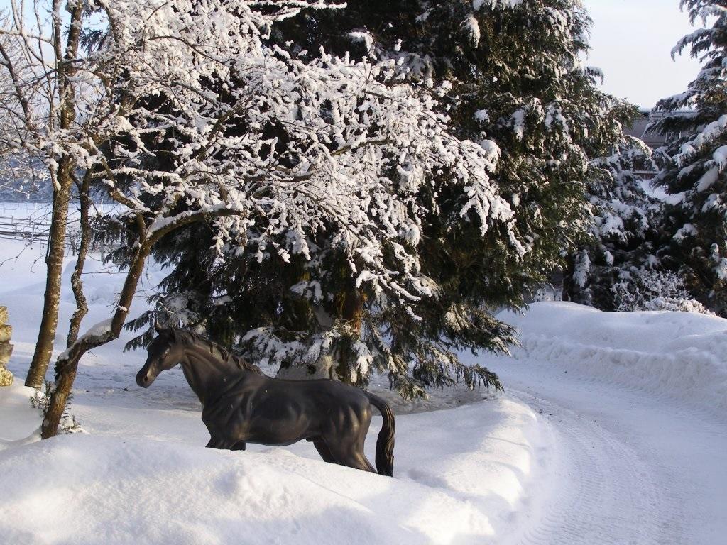 Aelbler-Nest Auf Hofgut Kueche Burladingen Exterior foto