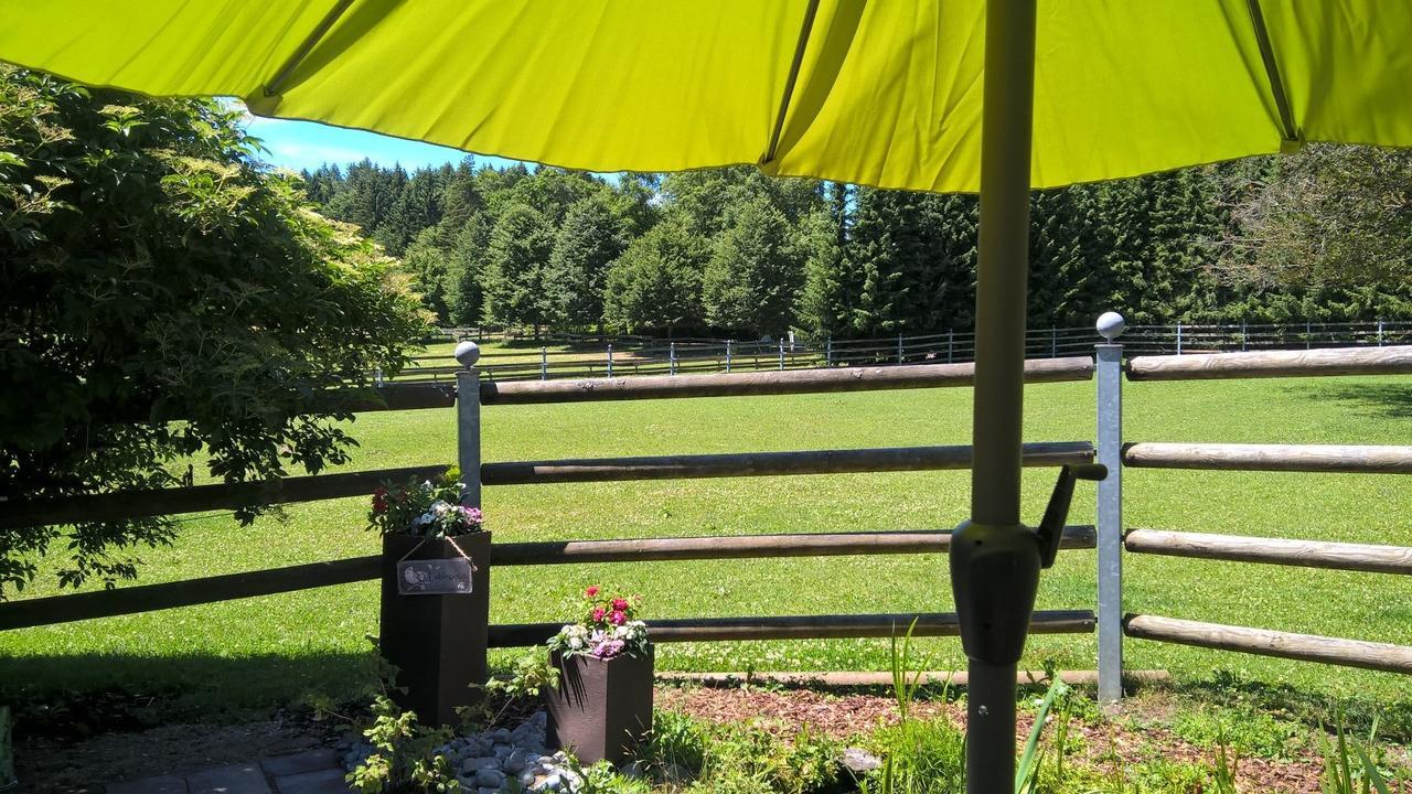 Aelbler-Nest Auf Hofgut Kueche Burladingen Exterior foto